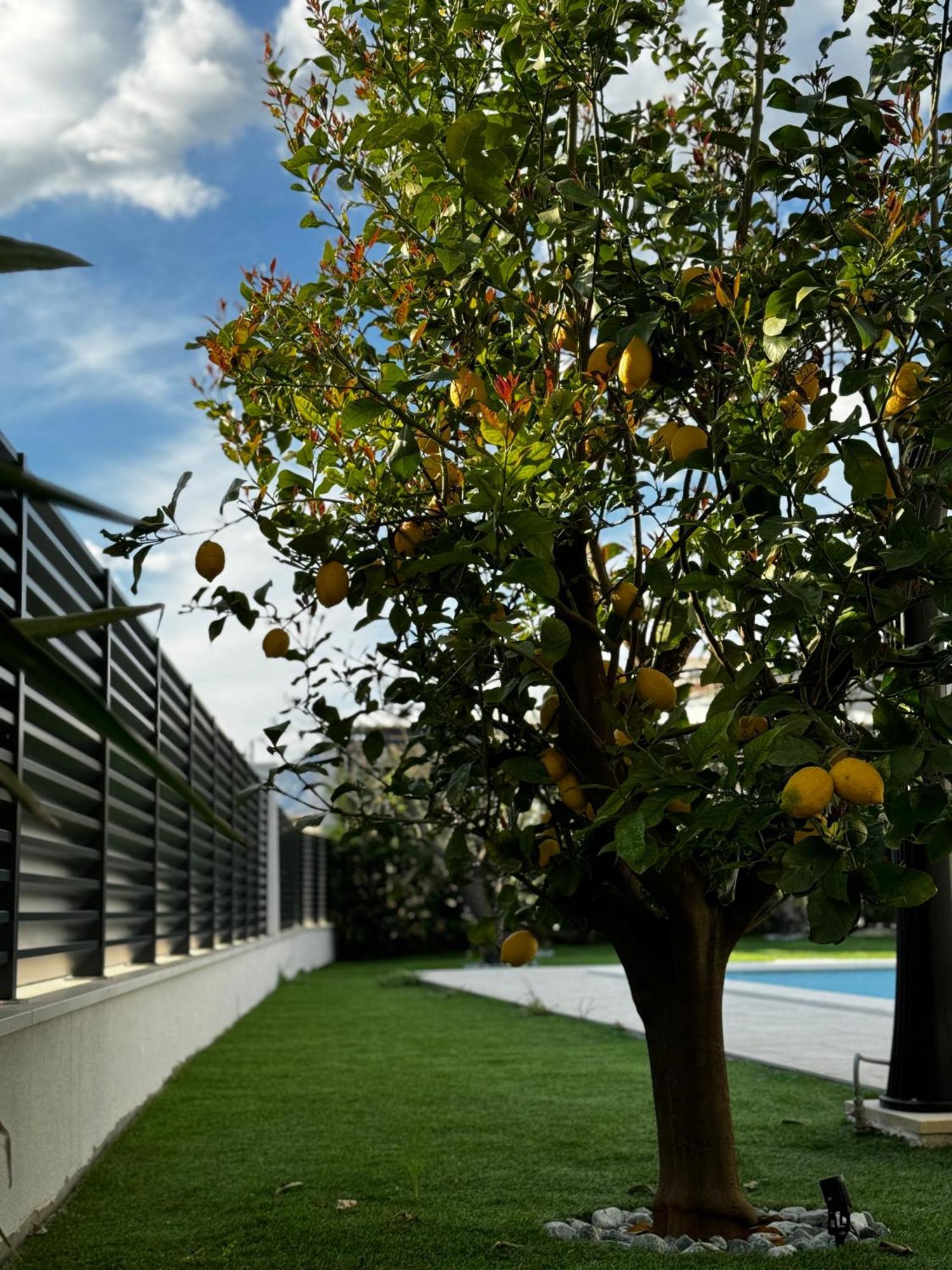 Villa Margita Split Exterior photo
